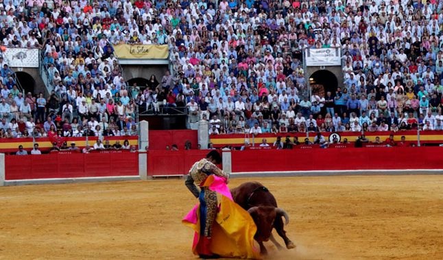 Ayacucho: alcalde anuncia que se aprobarÃ­a ordenanza para prohibir corrida de toros