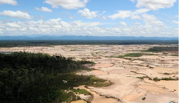 Madre de Dios: especialistas se reÃºnen para establecer inicio de reforestaciÃ³n en La Pampa
