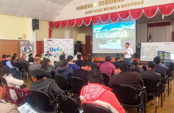 OEFA capacita a 110 funcionarios de entidades de fiscalización ambiental de Apurímac 