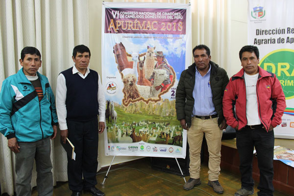 Apurímac sede de VI Congreso Nacional de Criadores de Camélidos del Perú