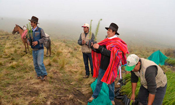 RegiÃ³n ApurÃ­mac busca imponer record nacional con proyecto de reforestaciÃ³n Sacha Tarpuy
