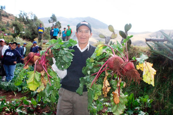 La agricultura familiar: pieza fundamental para la sostenibilidad en el mundo rural