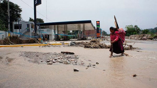 Moquegua: más de 800 hectáreas agrícolas fueron las afectadas por lluvias