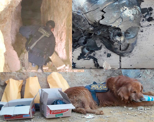 La Policía Nacional Canina halla restos óseos en Pichirhua