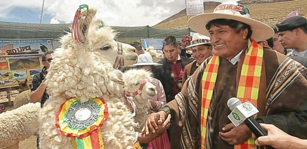 Presidente de Bolivia: Basta de satanizar la carne de llama