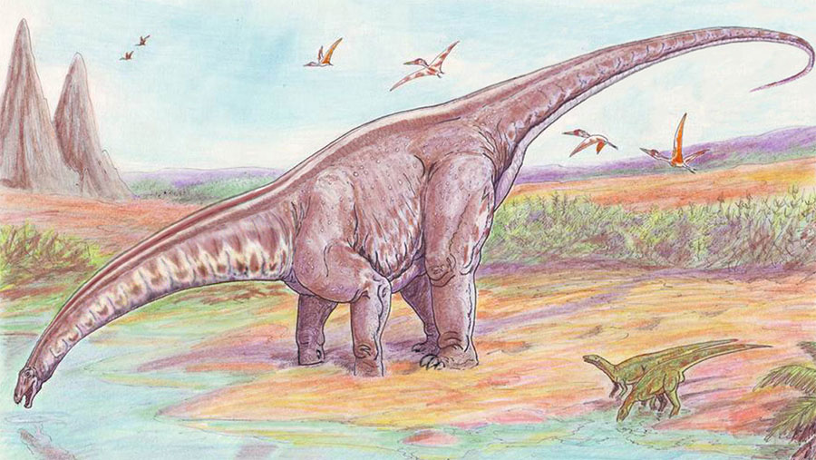 Descubren una nueva especie de dinosaurio en Brasil que vivió hace 115 millones de años