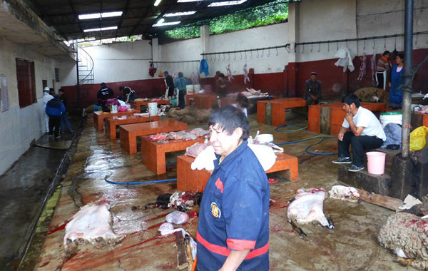 SENASA realiza inspección inopinada al matadero municipal de Andahuaylas.