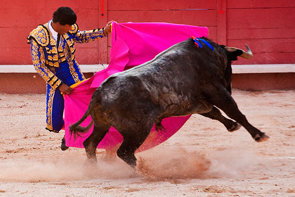 San Jerónimo celebrara su 484 aniversario con corrida de toros.