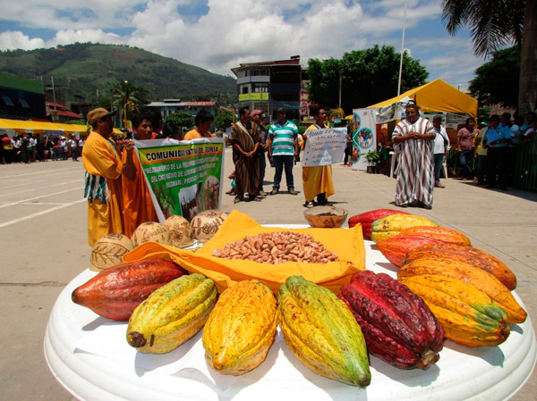 Productores de cacao del Vraem se gradÃºan como administradores de fincas.