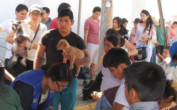 Municipalidad de Abancay desarrollo campaña de Registro Canino 2017