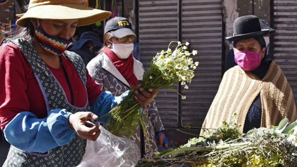 Bolivia: sigue batiendo récords diarios de contagios por coronavirus