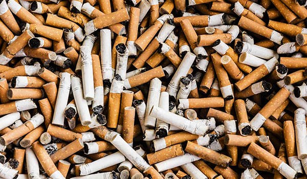 AtenciÃ³n a la salud: una colilla de cigarro contiene mÃ¡s de 8.000 sustancias contaminantes