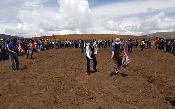 MINAGRI inicia siembra de pastos en beneficio de ganaderos rurales de Apurímac