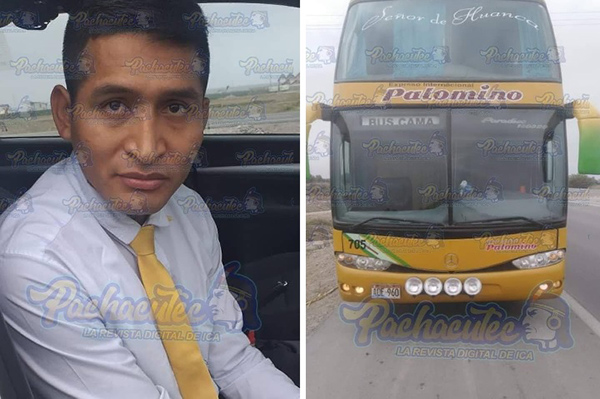 Ica: anfitrión de bus es detenido por masturbarse al lado de pasajera