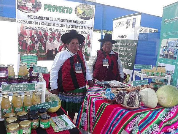 Tacna: PNUD ejecuta diez proyectos 