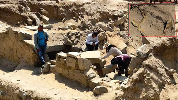 Hallan restos de un perro enterrado hace 1,000 años en complejo arqueológico de Ancash