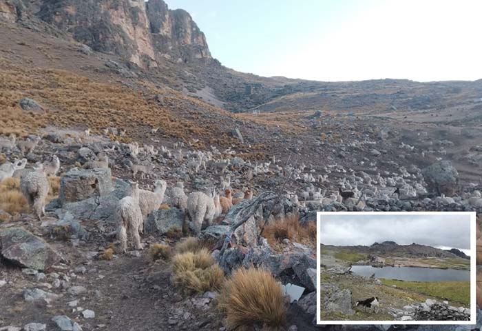 Conflicto entre pobladores de Noccansa y Chillpacca con mineros artesanales se profundiza ante indiferencia de autoridades, en Sabaino