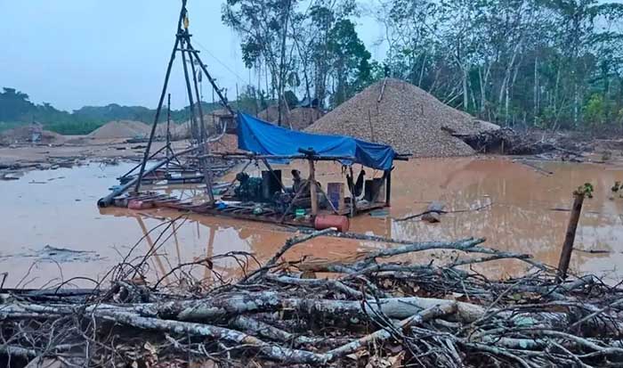 Madre de Dios: destruyen 24 máquinas utilizadas para la minería ilegal en área natural protegida