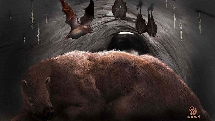Hallan en Argentina los restos fÃ³siles de un ejemplar de murciÃ©lago gigante de una especie extinta