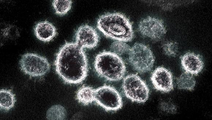 Estados Unidos: identifican un caso de la variante “doble mutante” del coronavirus