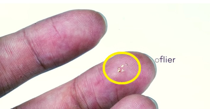 La estructura voladora más pequeña jamás creada por el hombre: construyen un microchip de casi el mismo tamaño que un grano de arena