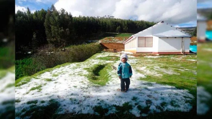 Ayacucho: intenso frío sigue golpeando a varias provincias de la región