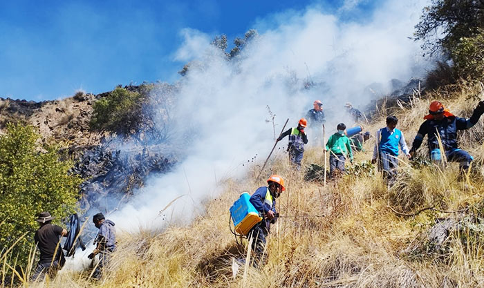 Controlan y sofocan incendio forestal en Molleccasarascca, en Chuquibambilla 