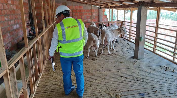 Encuentran deficiencias de seguridad e inadecuado control de almacÃ©n de ovinos