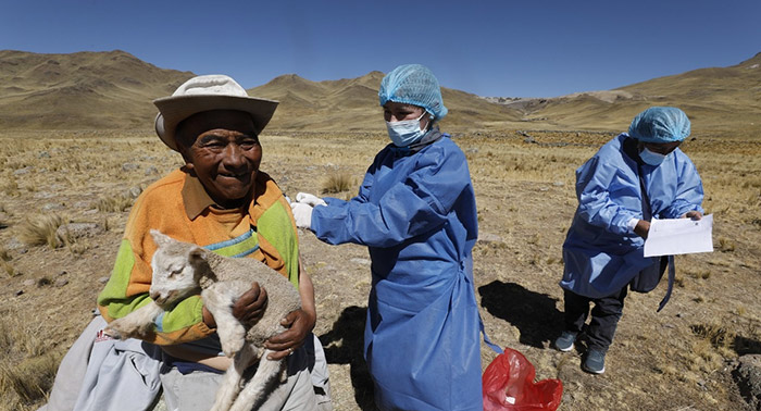Gobierno inmuniza mÃ¡s de 117 000 personas contra la influenza y neumococo ante heladas y friaje en regiones del sur