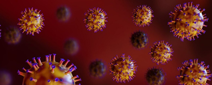 El origen de los virus, un enigma que nos ayudará a entender la evolución