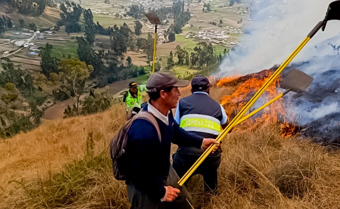 Caída de un árbol sobre cables de alta tensión originó gigantesco incendio forestal en Argama