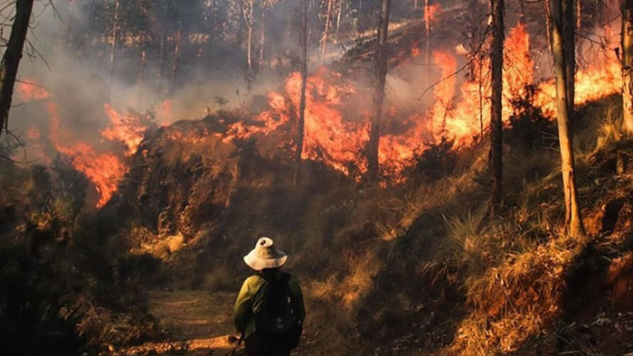 Denuncian indiferencia de las autoridades ante incendios forestales