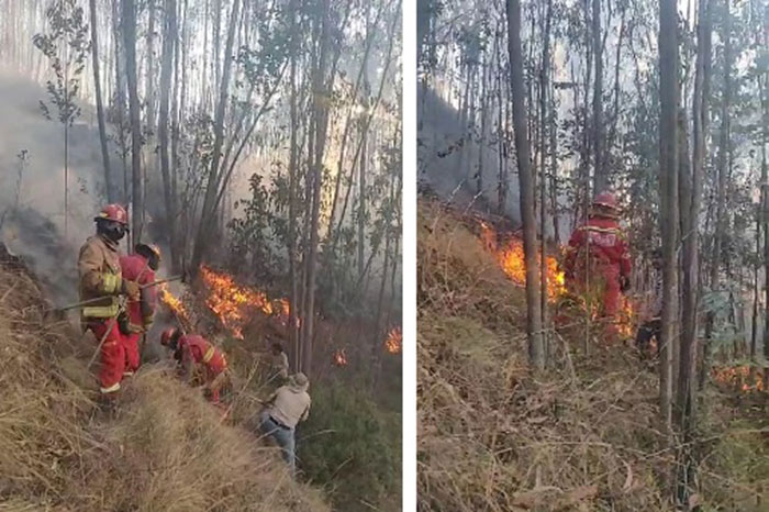 Incendio forestal arrasa con pastos y arboles de eucalipto en cerro Wiracochapata 