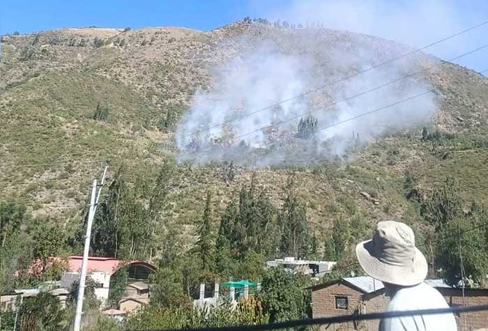 Pobladores logran controlar incendio forestal en Micaela Bastidas