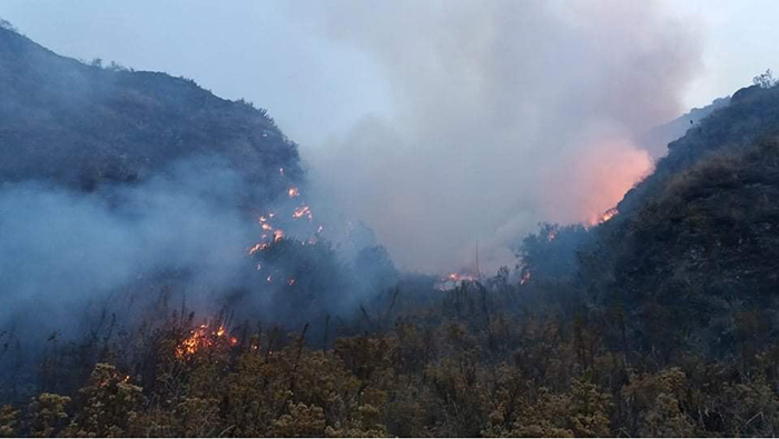 Agricultor muere carbonizado por incendio forestal en Kaquiabamba