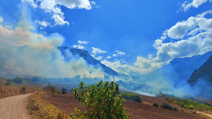 Dos incendios forestales arrasan con cobertura vegetal en Huanipaca y Curahuasi