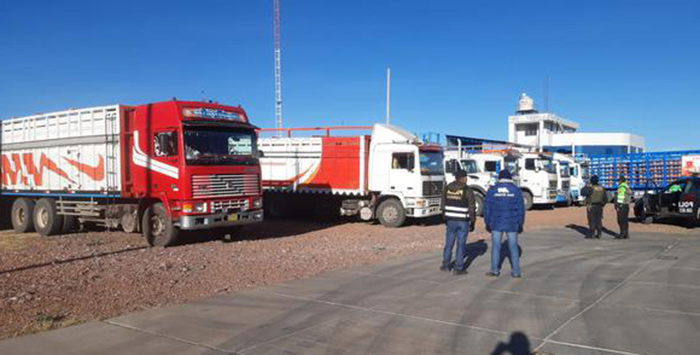 Puno: intervienen tres camiones con ladrillos de contrabando en Juliaca