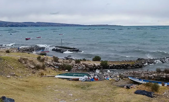 Puno: olas gigantes hunden jaulas y provocan la pérdida de 200 toneladas de trucha en lago Titicaca