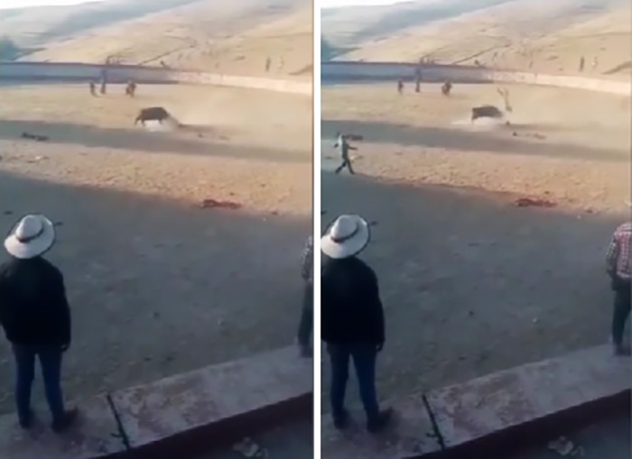 Cusco: joven muere tras ser embestido por toro durante evento taurino