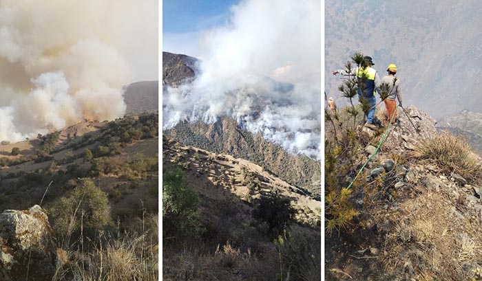 Comunidades claman ayuda por incendios forestales y Municipalidad de Abancay derrochará S/ 420 mil en fiesta de aniversario