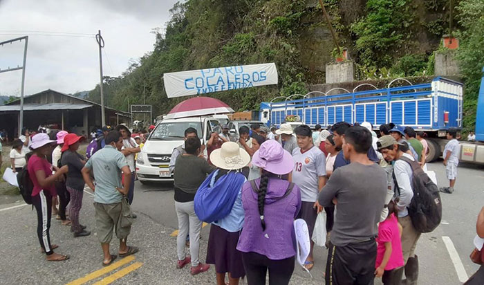 Puno: cocaleros bloquean puente Inambari en rechazo a la erradicación de la coca