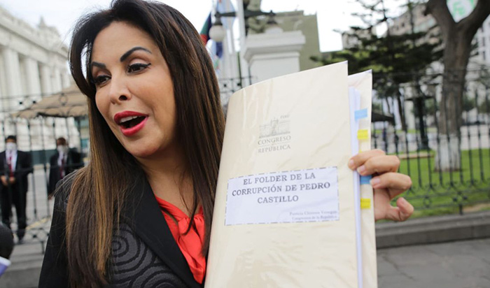 Representantes de la OEA rechazaron documentos que Patricia Chirinos quiso entregarles