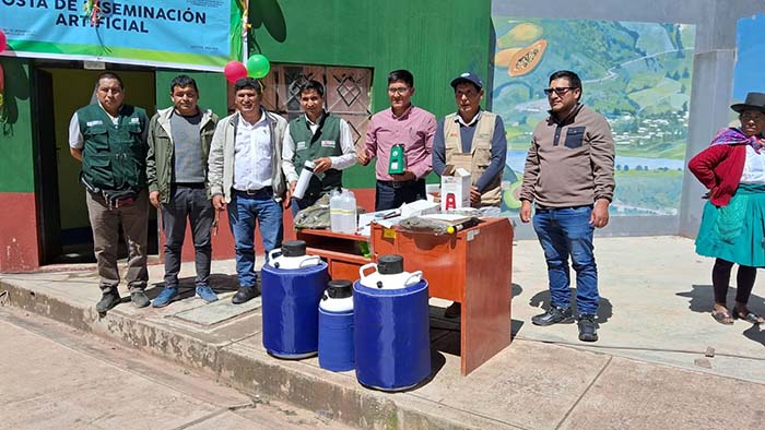 MIDAGRI instala primera posta de inseminaciÃ³n artificial para ganado vacuno en Andarapa