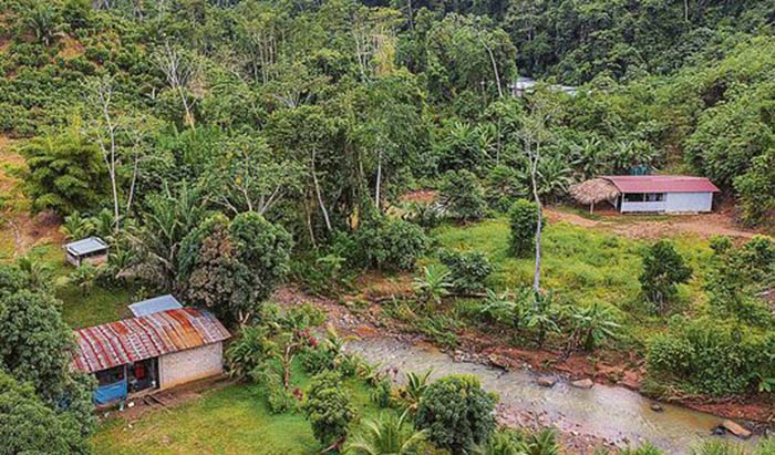 Gobierno suspende erradicación de cocales en Satipo, zona del Vrae