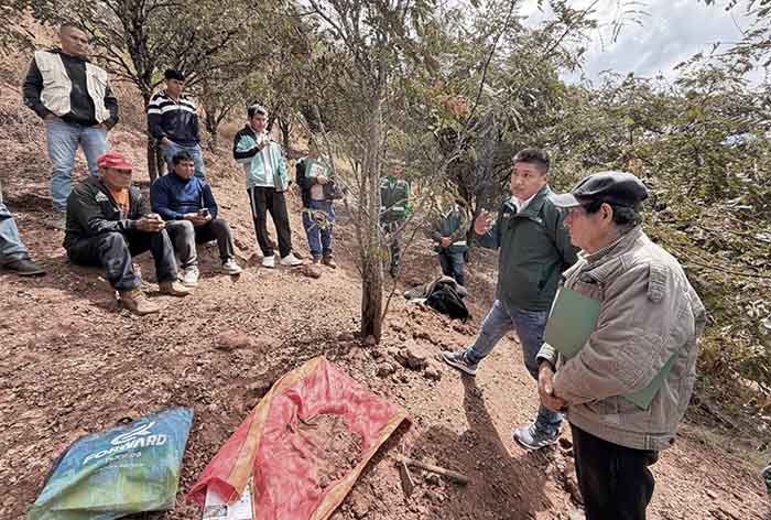 72 productores formalizan más de 106 hectáreas de plantaciones de tara 