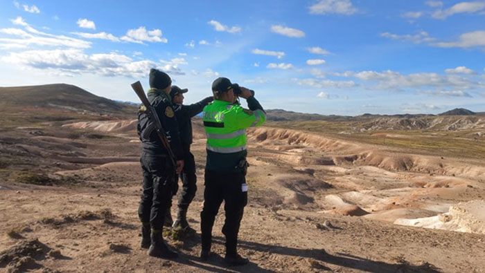 SERFOR lidera actividades preventivas contra la caza furtiva de vicuÃ±as en zonas altoandinas