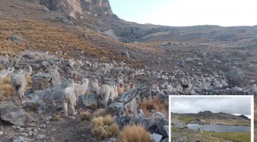 Conflicto entre pobladores de Noccansa y Chillpacca con mineros artesanales se profundiza ante indiferencia de autoridades, en Sabaino
