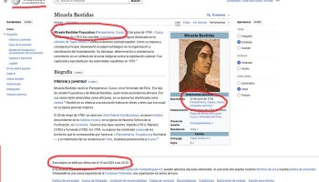 Portal Wikipedia desinforma y afirma que Micaela Bastidas Puyucahua nació en el Cusco 