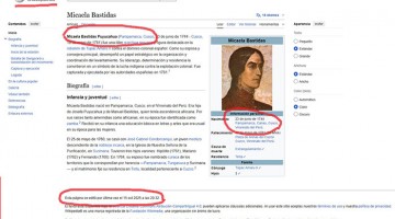 Portal Wikipedia desinforma y afirma que Micaela Bastidas Puyucahua nació en el Cusco 
