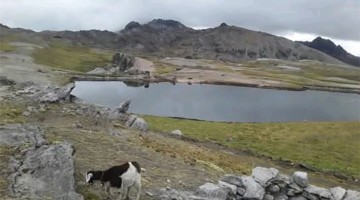 Solicitan que Mesa Técnica de Recursos Hídricos incluya diversas demandas ambientales que se registran en varias provincias